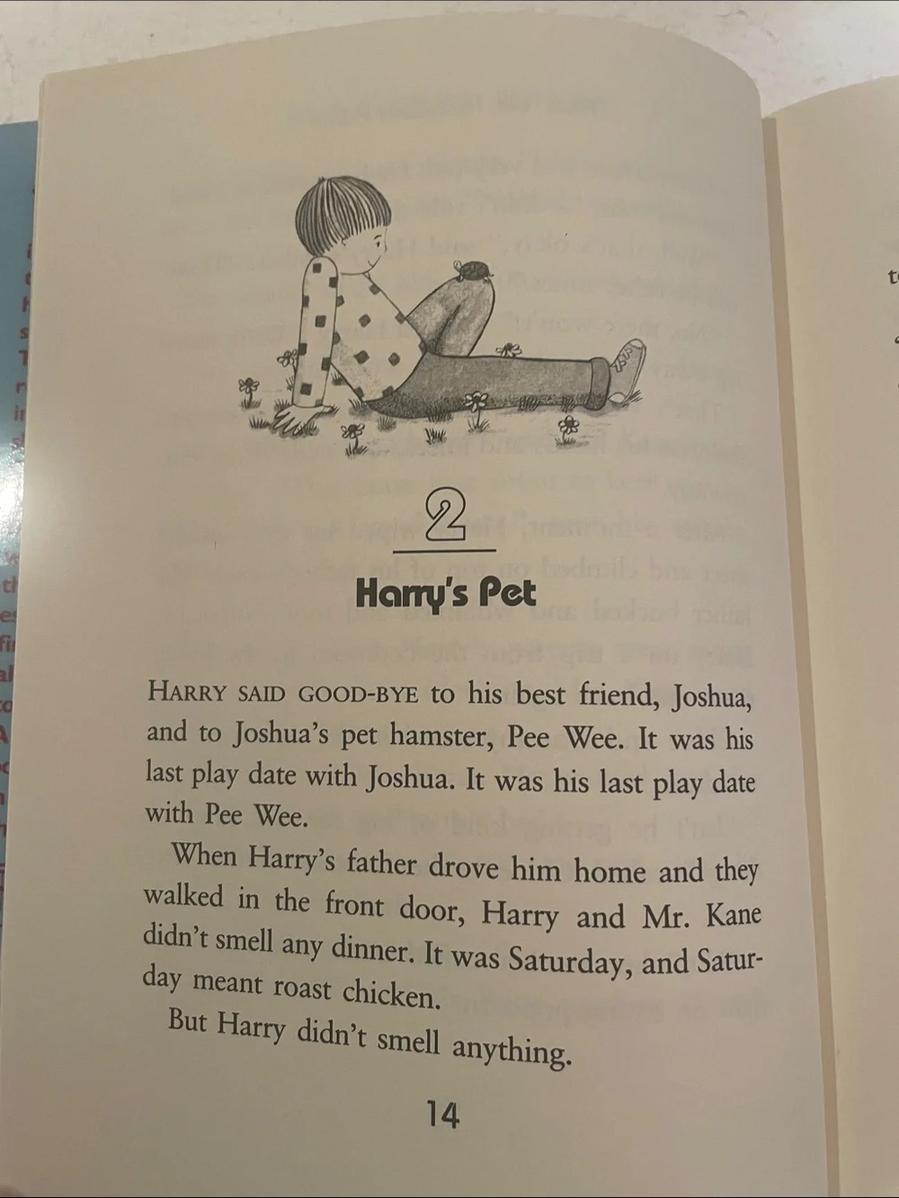 Vintage 1991 Hurricane Harry First Edition childrens AR Book HCDJ Judith Caseley